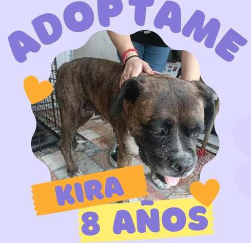 Kira